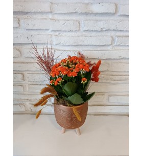 Ayaklı Saksıda  Kalanchoe Çiçeği